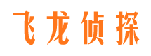 伊春商务调查